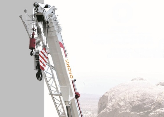 Telescopic  Hydraulic Crawler Crane SQ250A  37Ton Lattice Boom Crane with Low Price for Sale